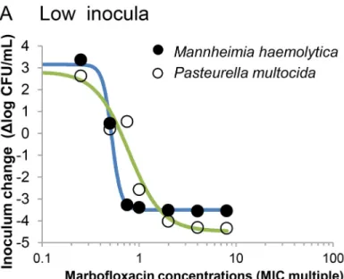 Fig 2. Bactericidal effect of marbofloxacin against low (A) and high (B) inocula of M 