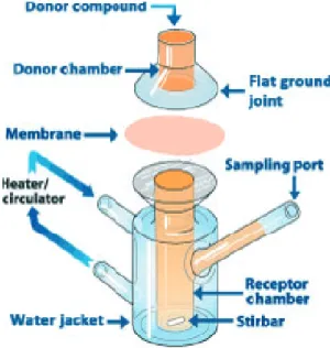 Fig. 2. Schematic representation of a Franz Diffusion Cell used for in vitro rate of release test studies (diagram courtesy of PermeGear, Inc.