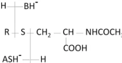 Fig. 7. Fragmentation mass spectra and interpretation for ions 187.0977 ( 12 C-HNE metabolite) and 189.1044 ( 13 C-HNE metabolite).