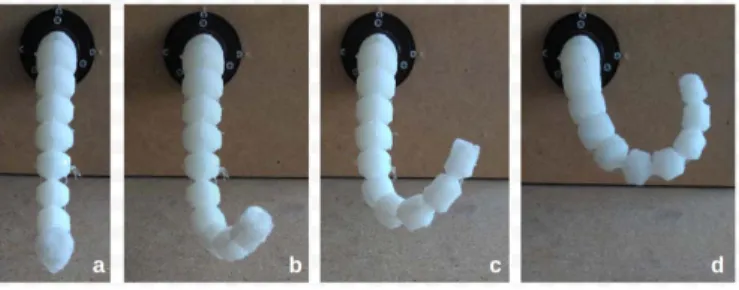Fig. 10. (a) Rest position. (b) Limits of the linearization assumption (5%