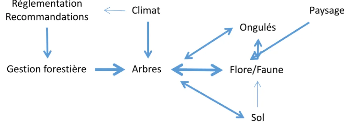 Figure 1. Principaux compartiments de l’écosystème forestier étudiés dans le cadre des recherches  menées par l’unité de recherche EFNO