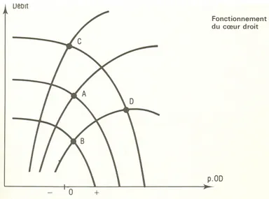 Figure 12 : représentation graphique des combinaisons inséparables des courbes de la fonction  ventricule droite et du retour veineux cave à différentes conditions de fonctionnement  hémodynamique