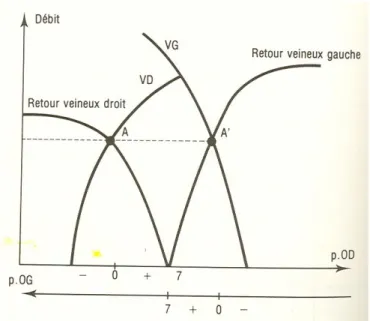 Figure 13 : représentation schématique d’une combinaison de courbes de fonctions ventriculaires et  de retours veineux droit et gauche