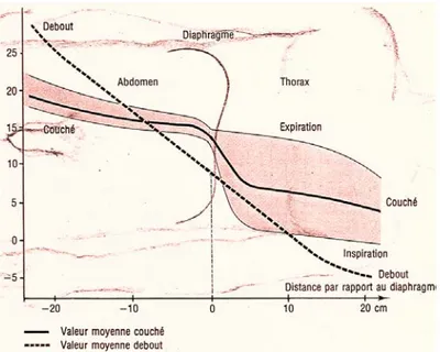 Figure 16 : Influence de la position du corps et de la respiration sur la pression cave