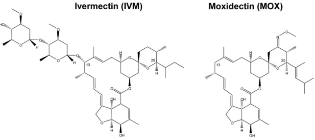 Figure 1. Comparison of chemical structures of ivermectin and moxidectin. Ivermectin is a mixture of B1a (substituent butyl on C25) and B1b (substituent isopropyl on C25) forms
