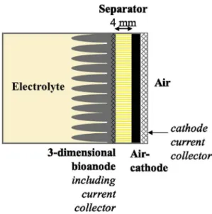 Fig. 1. Scheme of the separator-electrode assembly.