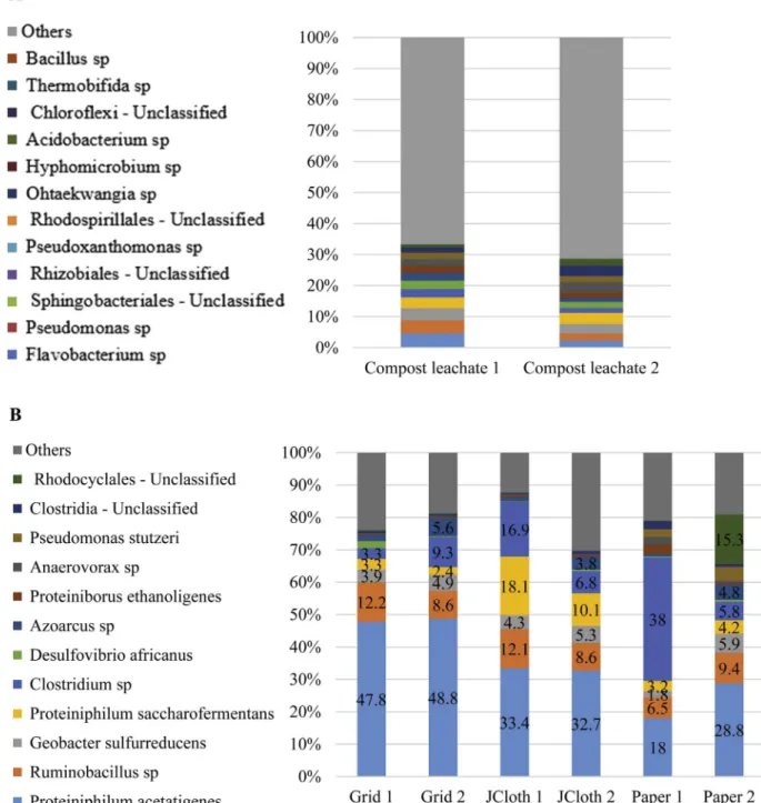 Fig. 5. Major bacterial species in percentage of the total population of (A) compost leachate medium, (B) SEA bioanodes