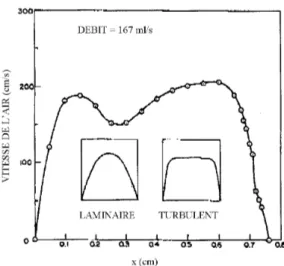 Figure 1-14 : Profil de vitesse calculé en sortie du nasopharynx du modèle de fosse nasale de Girardin et coll