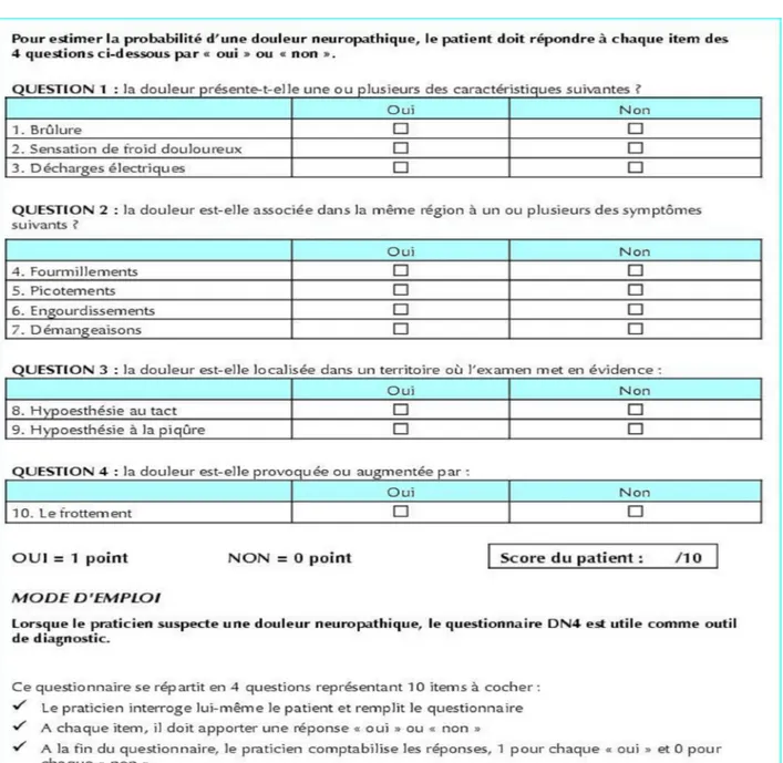 Figure 3 : Le questionnaire DN4 