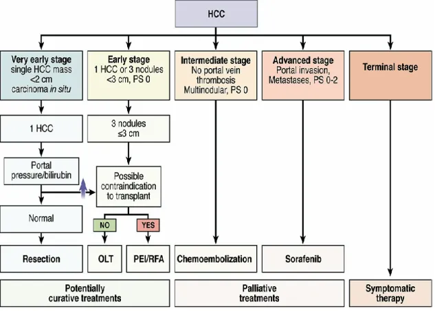 Figure 1 : Indications du traitement du CHC selon BCLC 