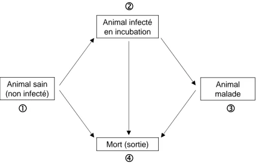 Fig. 1.2 – Mod` ele multi-´ etats adapt´ e ` a la tremblante.