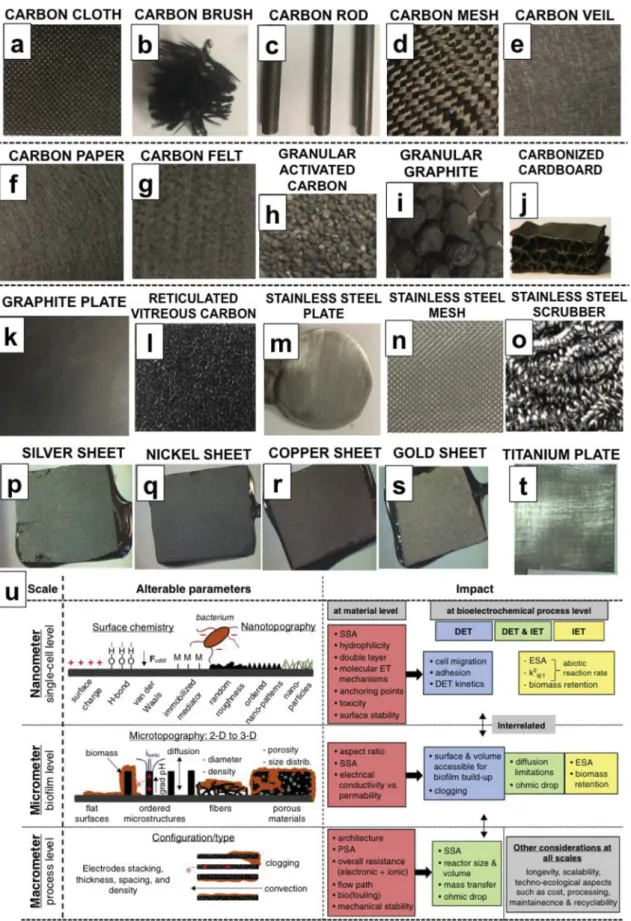 Fig. 4. Digital photographs of carbon cloth (a), carbon brush (b), carbon rod (c), carbon mesh (d), carbon veil (e), carbon paper (f), carbon felt (g), granular activated carbon (h), granular graphite (i), carbonized cardboard (j), graphite plate (k), reti