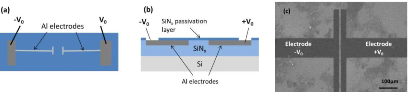 Figure  1.  Sample  schematic  structure  in  (a)  top-  and  (b)  cross-view.  (c)  SEM  top-view  image  of  buried lateral electrodes separated by a distance of 10µm