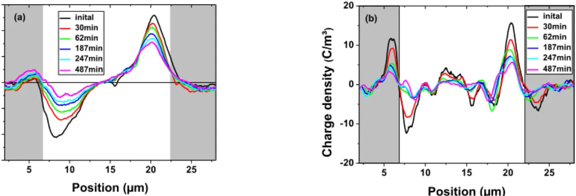 Figure  5.  Evolution  of  (a)  potential  profile  and  (b)  related  charge  density  profile  with  time  after  polarization step (180min at   V =20V) on lateral electrodes separated by 15µm