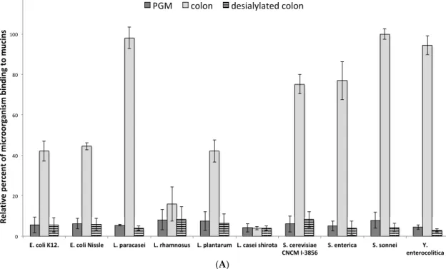 Figure 5. Cont.