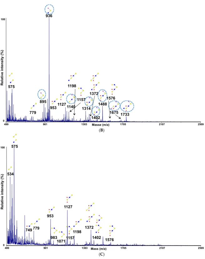 Figure 5. Influence of sialic acid residues on the adhesion of microorganisms to human mucins