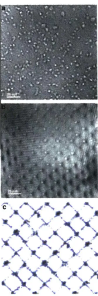 Figure  1-4:  a) He precipitates  in single  crystal  Au.  b)  Plane  view of a  V  twist  GB  in  Au