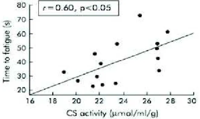 Figure  8.  Corrélation  entre  l’activité  de  la  citrate  synthase  et  l’endurance  du  quadriceps  chez les patients BPCO (Allaire  et al