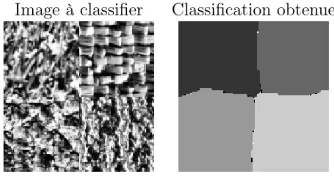 Fig. 2.2 – Exemple de résultat de classiﬁcation