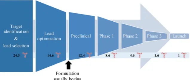 Figure 1-1: The general steps in developing a new antibody therapy. Early on, sequences are developed for candidate molecules and optimized for binding and other behaviors