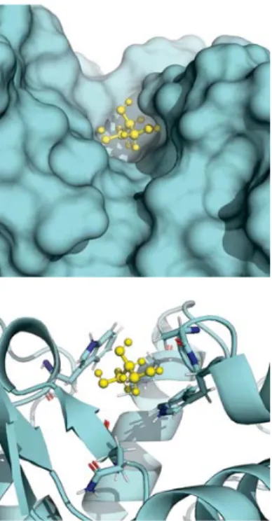 Figure 2-11: A glycerol molecule in a pocket on the surface of lysozyme (top) and the residues making up the pocket (ALA107, ILE57, ILE98, TRP63, and TRP108) (below)
