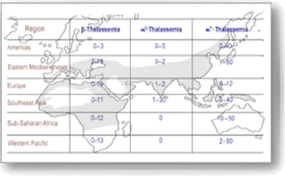 Figure 2 : répartition géographique des thalassémies 
