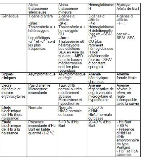 Tableau 5 : Les caractéristiques génétiques et cliniques des alpha-thalassémies  (ORPHANET) 