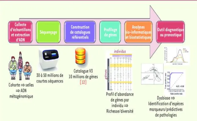 Figure 2: Identification de l’ADN bactérien par biologie moléculaire [10]. 