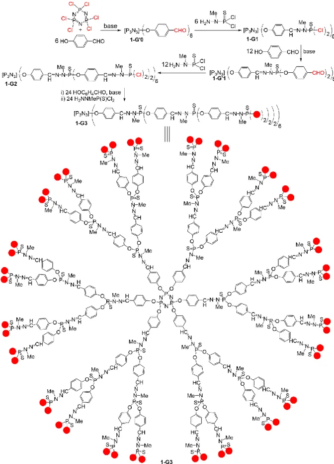 Figure 1. Step-by-step synthesis of phosphorhydrazone dendrimers and structure of a 3 rd  generation  phosphorus  dendrimer,  drawn  in  two ways,  either  the  full  structure,  or  the  linear  structure  with  a  parenthesis after each branching point