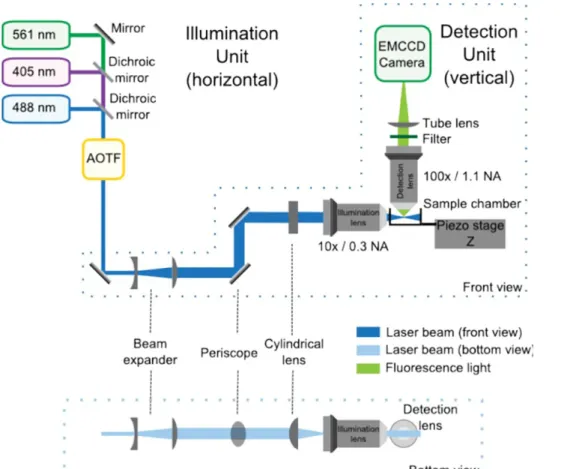 Figure 1: SPIM optical setup composed of the illumination and detection units, front and bottom views