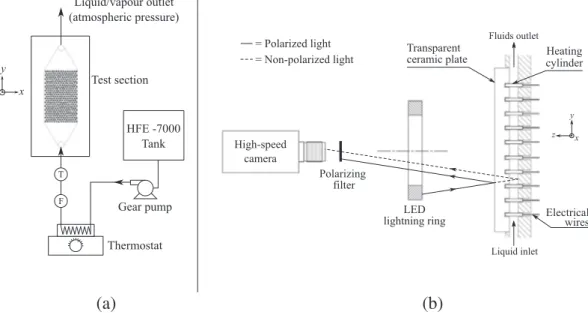 Fig. 2. (a) Experimental setup: an open fluid circuit. (b) Side view of the test section, showing the visualization configuration.