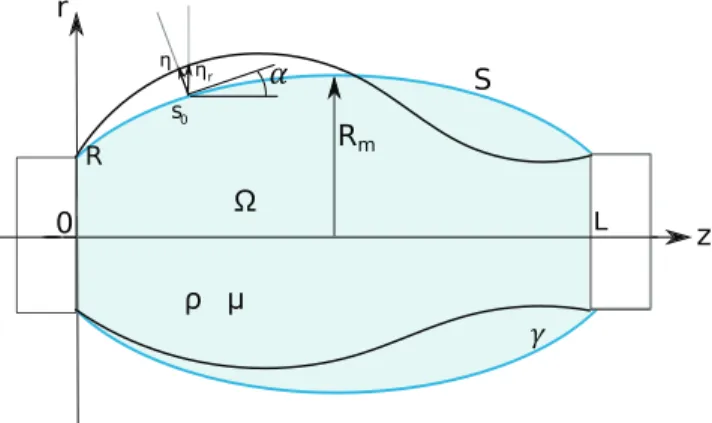 FIG. 4. (a) Schematic of the problem under investigation and notation.