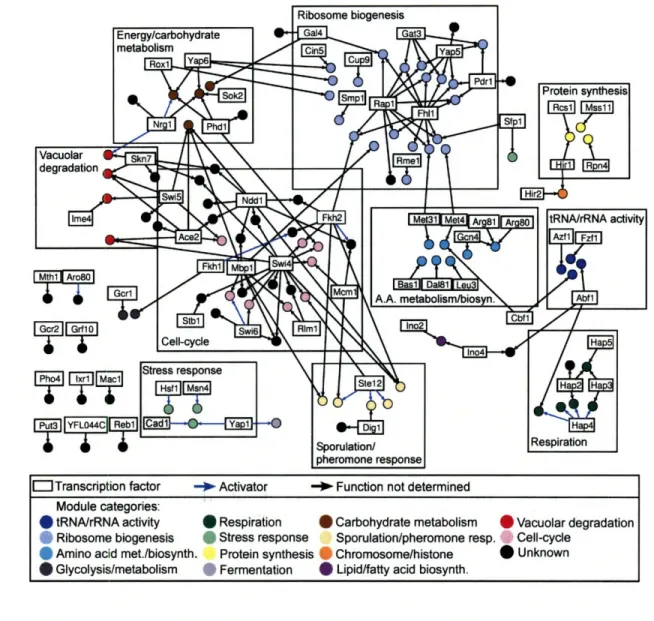 Figure  2-2:  Visualization  of  the  transcriptional  regulatory  network  discovered  by  the GRAM  algorithm  as  a  graph  with  edges  between  gene  modules  and  regulators  shows  that there  are  many  groups  of  connected  gene  modules/regulato