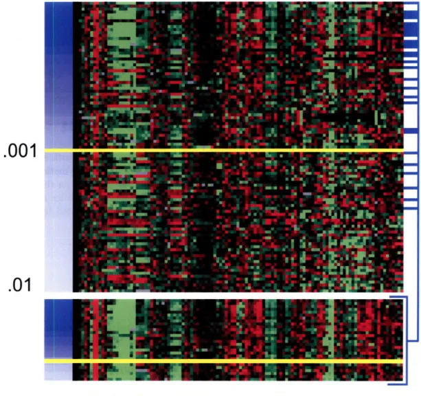 Figure  2-3:  The  GRAM  algorithm  improves  the  quality  of DNA-binding  information,  be- be-cause  it  uses  expression  data  to  avoid  a  strict  statistical  significance  threshold