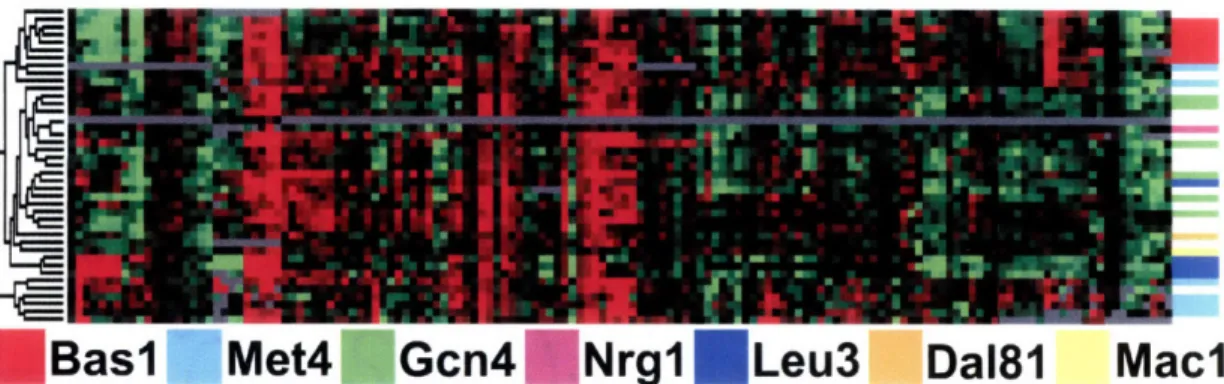 Figure  2-4:  The  GRAM  algorithm  assigns  different  regulators  to  genes  with  similar  ex- ex-pression  patterns  that  cannot  be  distinguished  using  exex-pression  clustering  methods  alone.