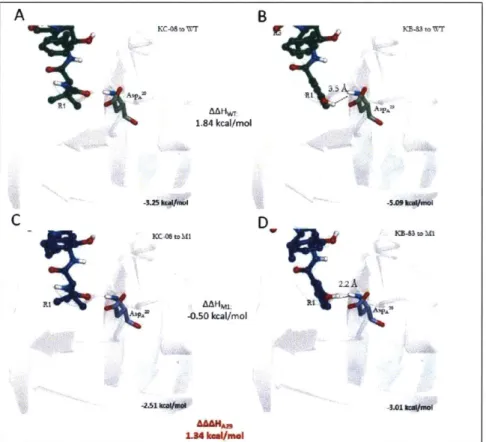 Figure 2-7:  KB-83  and KC-08  interaction with  ASPA  2 resulting in AAAH  of 1.29 kcal/mol
