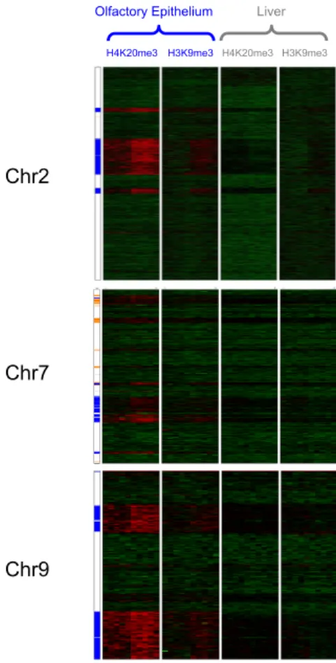 Figure 3-3: Positional heatmap of chromosome 7, as described above for chromosome 2.