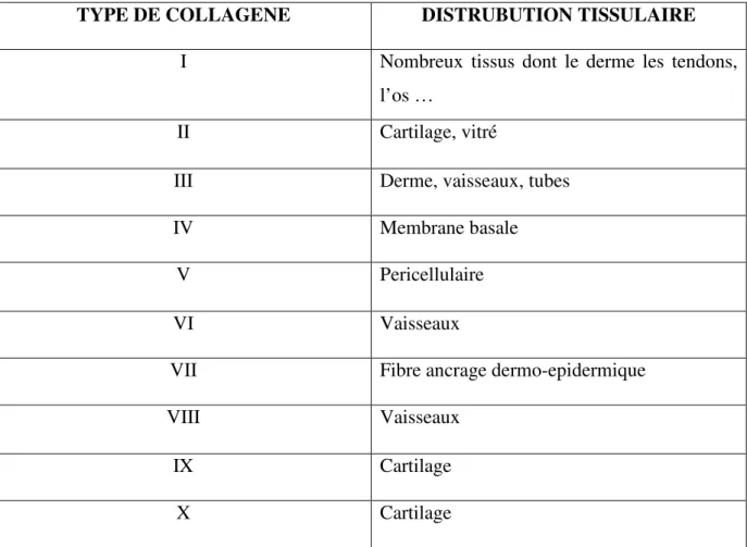 Tableau 1 Distribution tissulaire des principaux type de collagènes 