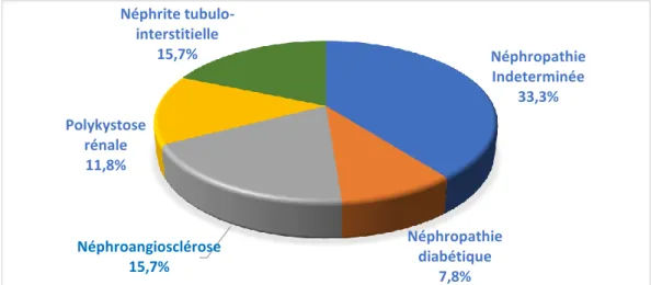Figure 9 : Répartition des patients en hyperparathyroïdie en fonction de leur néphropathie  initiale 