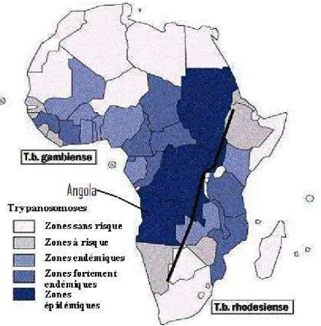 Figure 1 : Répartition géographique des trypanosomoses à T. b. gambiense et T. b.                  