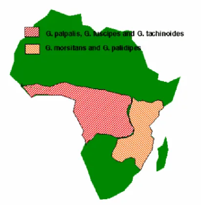 Figure 6: Distribution géographique de la Tsé-tsé en Afrique  [92]