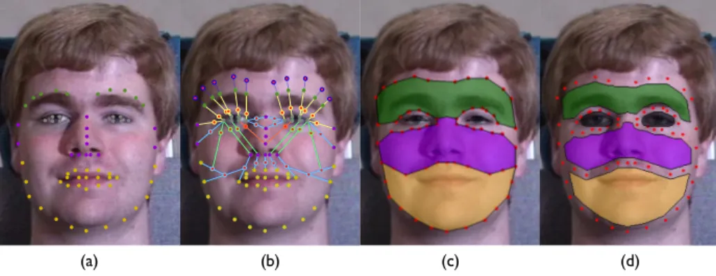 Fig. 4. Mask creation is conducted in 4 steps: (a) Landmarks detection and association with the face components (color coded) - (b) Landmark completion by barycentric averages - (c) mask initialization based on a predefined subset of landmarks - (d) Final 