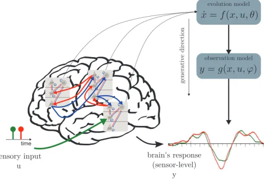 Figure 4.1 – Schematic view of a DCM, a generative model of neuroimaging data (depicted here in the speciﬁc case of electrophysiological data)