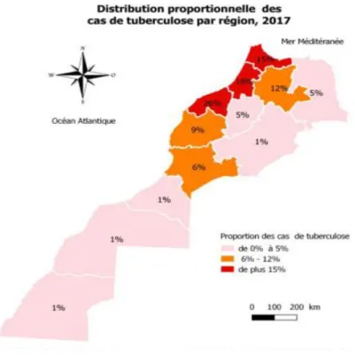Figure 2 : Distribution des cas de tuberculose par région au Maroc en 2017 