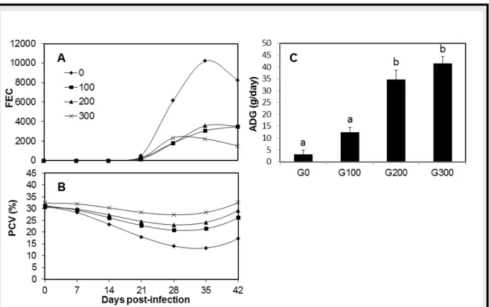 Figure  7.  Geometric  mean  of  faecal  egg  counts  (FEC)  according  to  the  experimental  groups:   Group  0  (no  concentrate), ■  Group  100  (100  g  of  concentrate/day),  ▲  Group  200  (200  g  of  concentrate/  day),  ×  Group  300  (300  g  o
