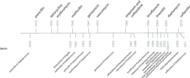 Figure 3. Timeline of antibiotic discovery and detection of antibiotic resistance. Adapted  from [24] 