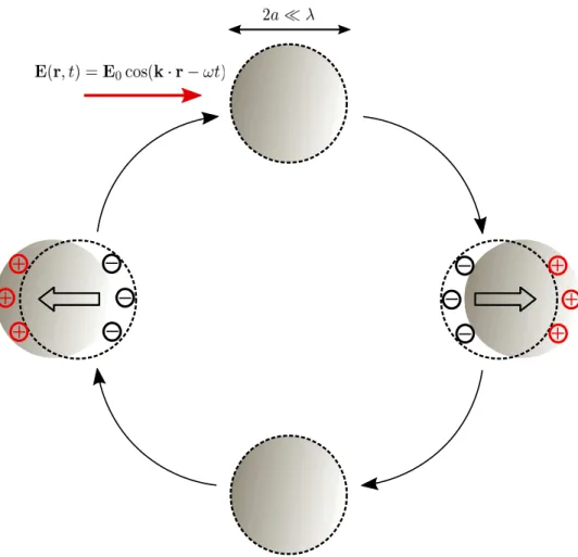 Figure 1.4: Schematic representation of a localized surface plasmon in a spherical metallic nanopar- nanopar-ticle
