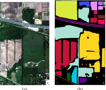 Fig. 3. Indian Pines 2010 SpecTIR data.(a) RGB composition and (b) ground truth. Color references are in Tab