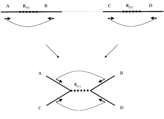 Figure 0.0.6  shows  how  forward/reverse  links  can resolve  the  ambiguity.