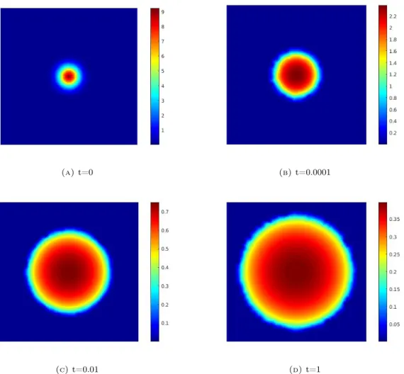 Figure 3. Evolution of an initial density close to a dirac according to the porous medium equation